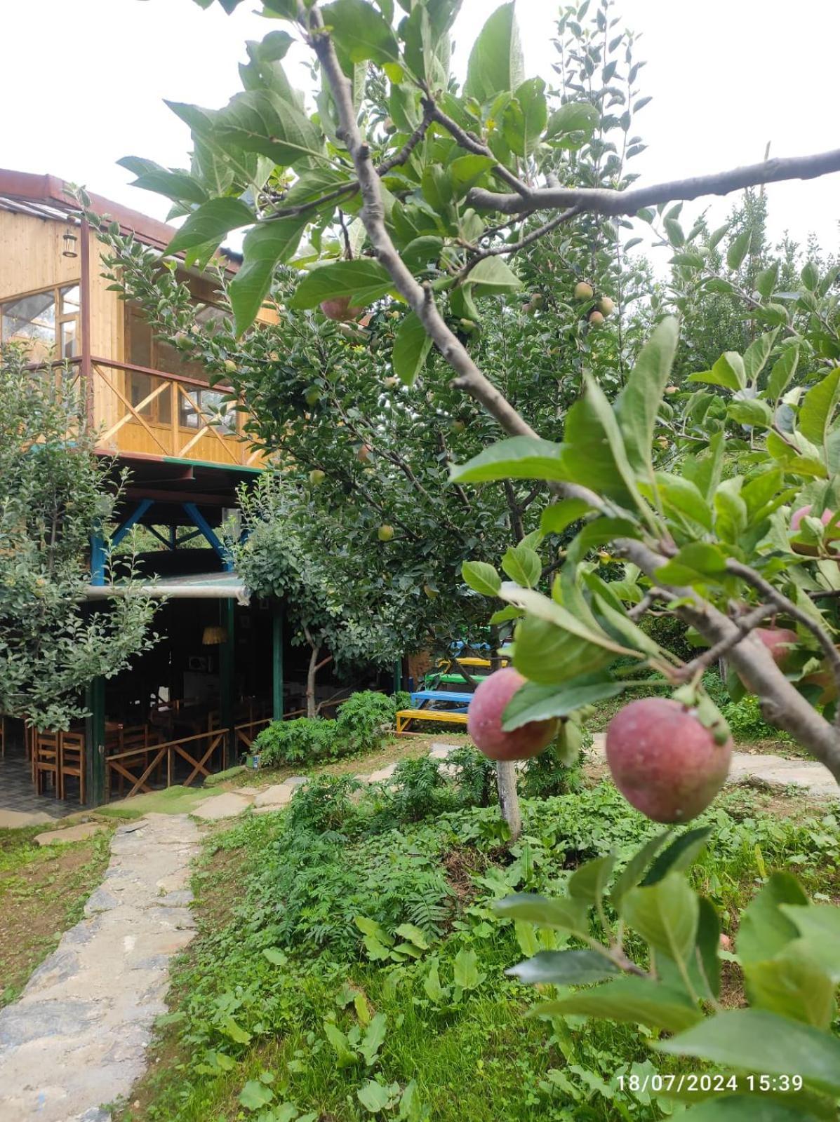 Отель Daak Bangla Retreat Куфри Экстерьер фото
