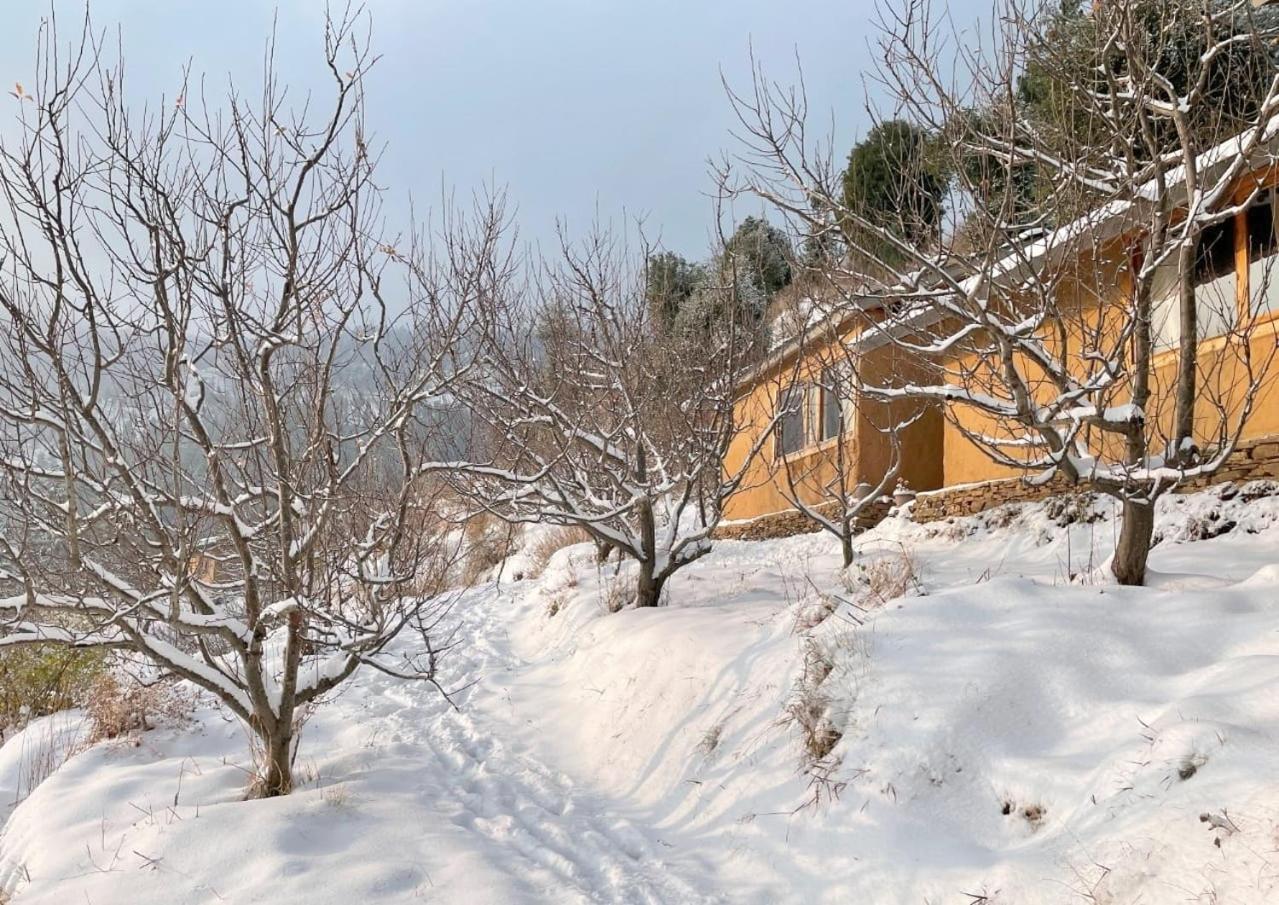 Отель Daak Bangla Retreat Куфри Экстерьер фото