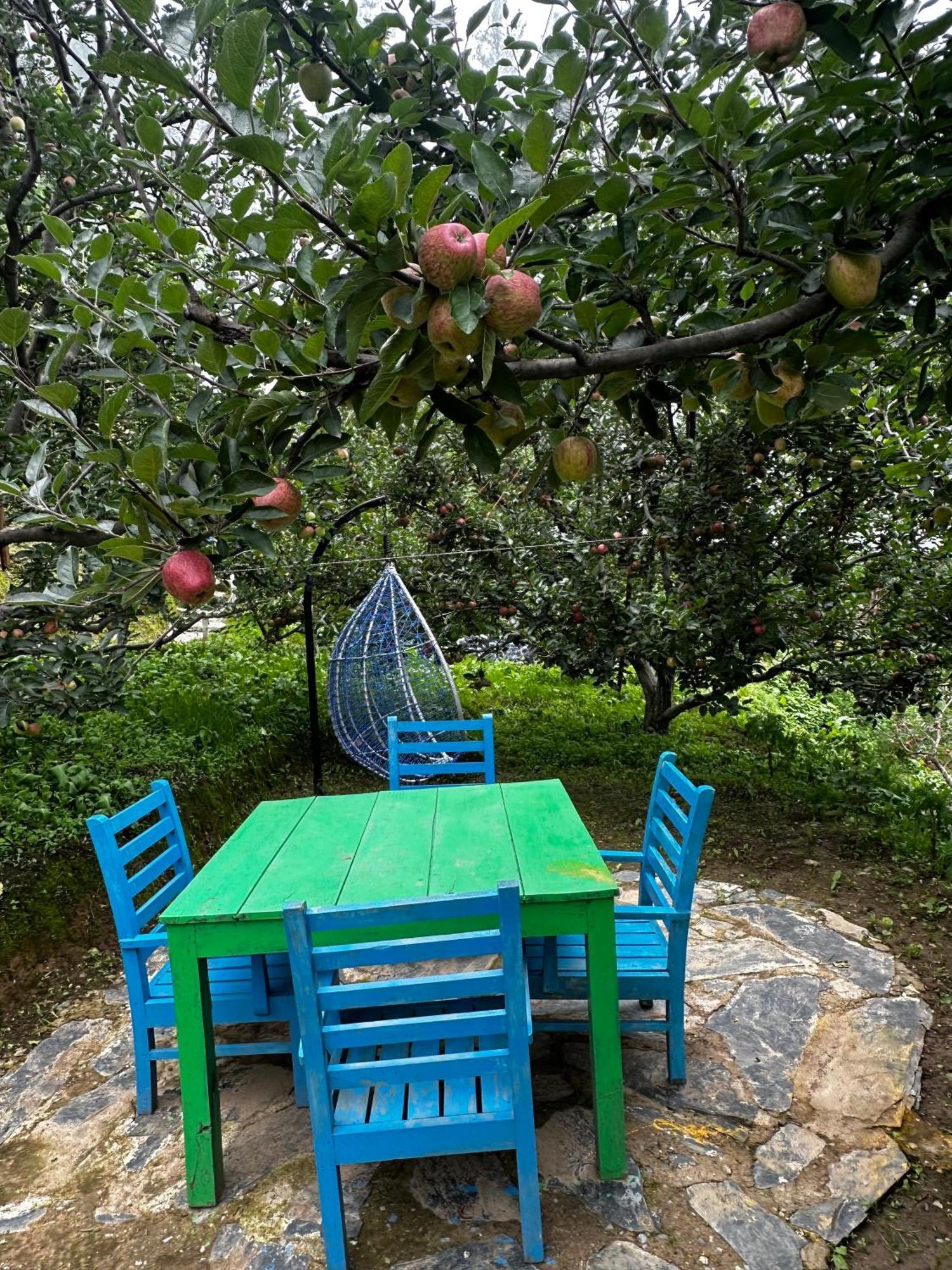 Отель Daak Bangla Retreat Куфри Экстерьер фото