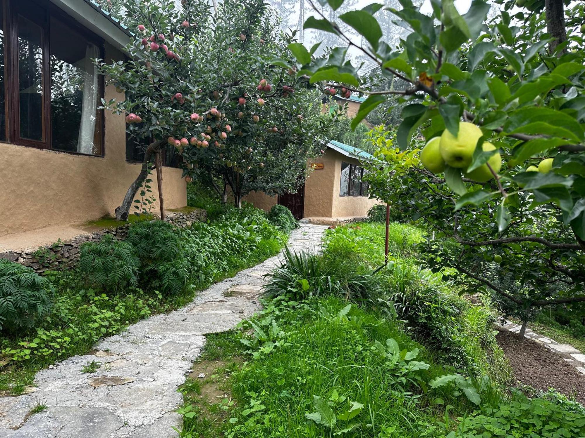 Отель Daak Bangla Retreat Куфри Экстерьер фото