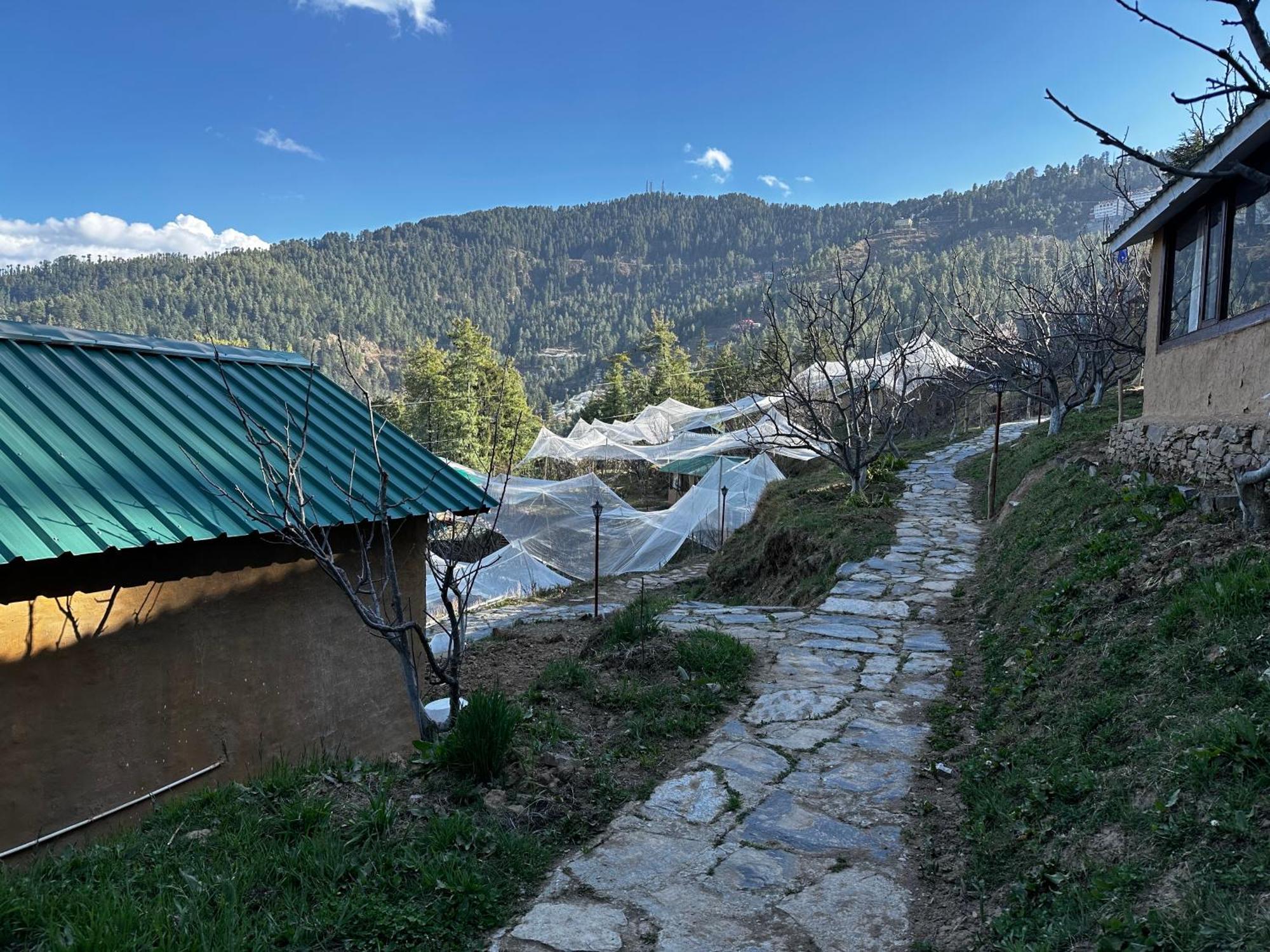 Отель Daak Bangla Retreat Куфри Экстерьер фото